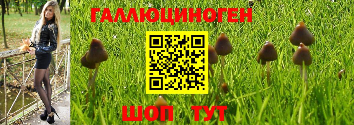 Псилоцибиновые грибы мицелий Алатырь
