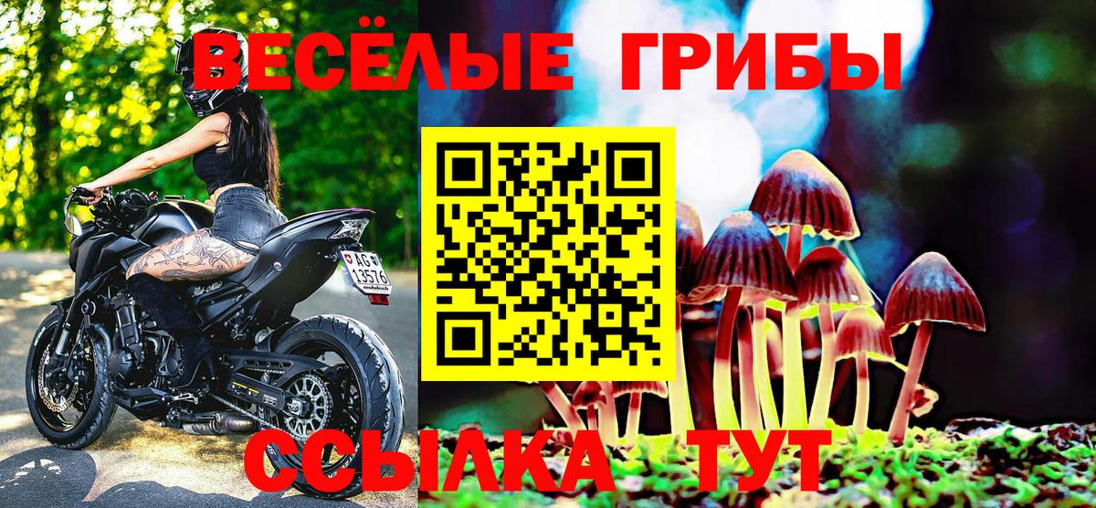 Галлюциногенные грибы мицелий  Вход с VPN  Псилоцибиновые грибы прущие грибы  продажа наркотиков  Алатырь 